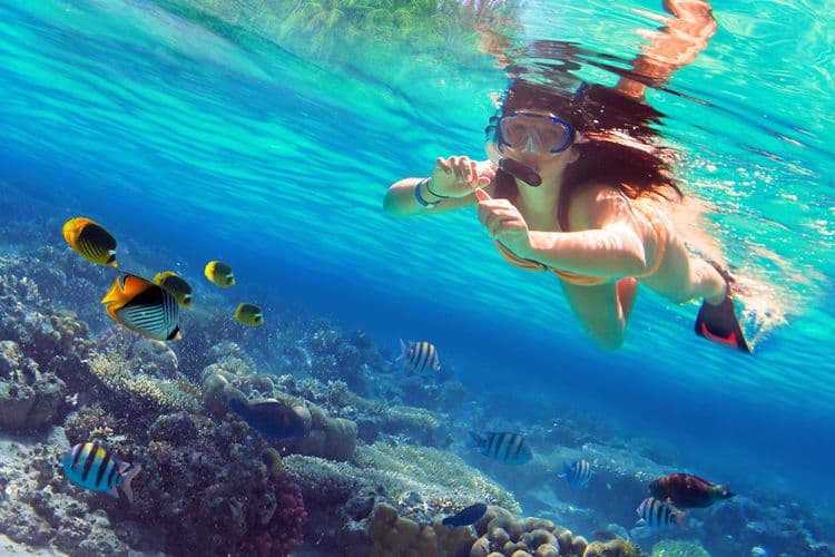 Snorkeling at Todos Santos Island