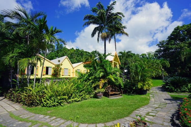 Local Connections: Romney Manor, Caribelle Batik & Timothy Hill Lookout With Artist