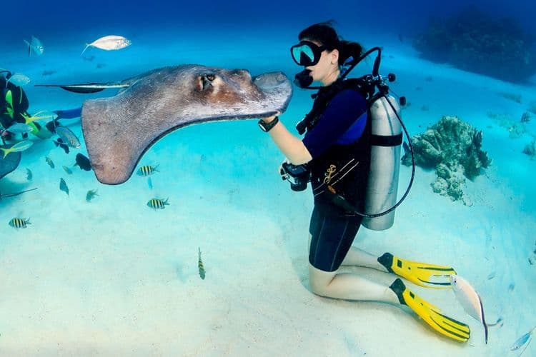 Stingray, Snorkel, Swim & Scenic Country Drive