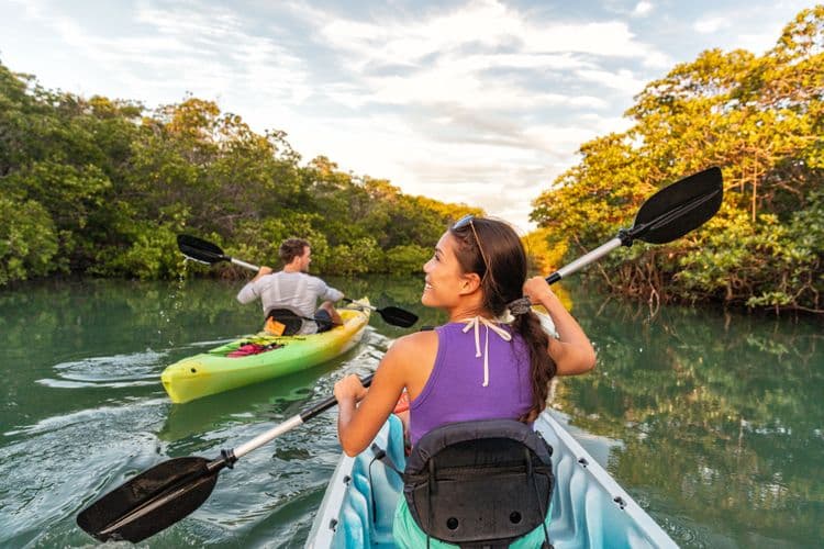 Local Connections: Eco-Kayaking, Bird Island, Snorkel & Beach