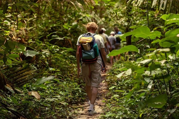 Rainforest Walk, Romney Manor & Caribelle Batik