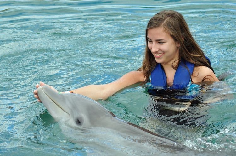 Dolphin Swim & Ride All Inclusive