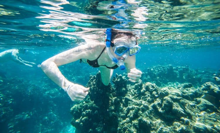 Mayan Reef Clear Kayak & Snorkel