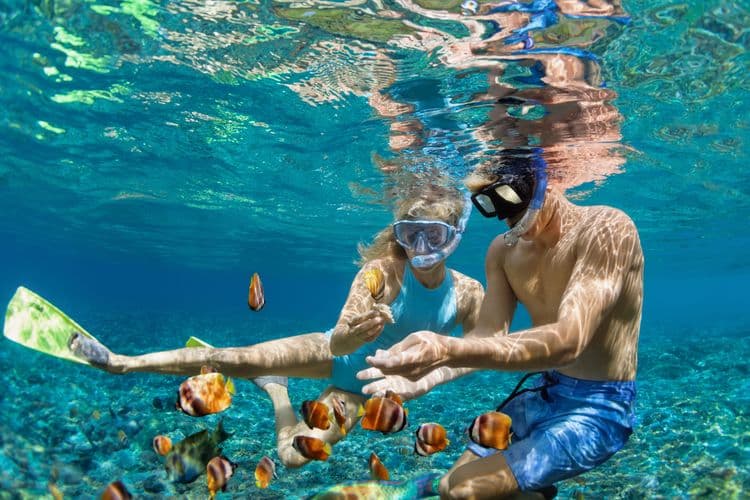 Beach Power Snorkel