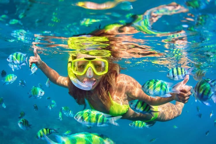 Beach Snorkel