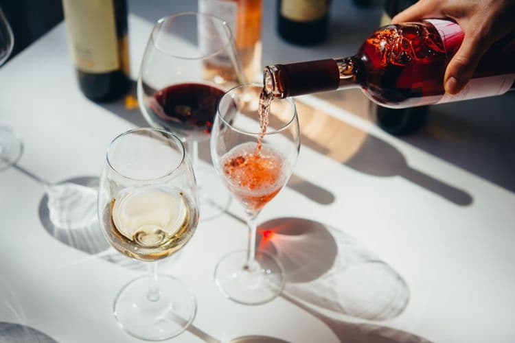 Agro De Bazan Winery & Spanish Wine Tasting