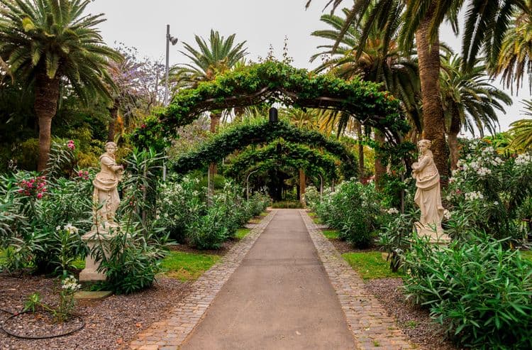 A Walk Through Santa Cruz