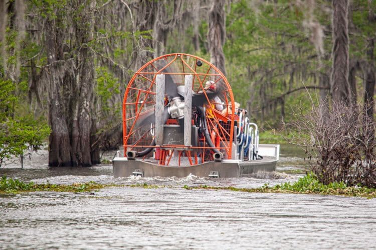 Atchafalaya Basin Swamp by Airboat