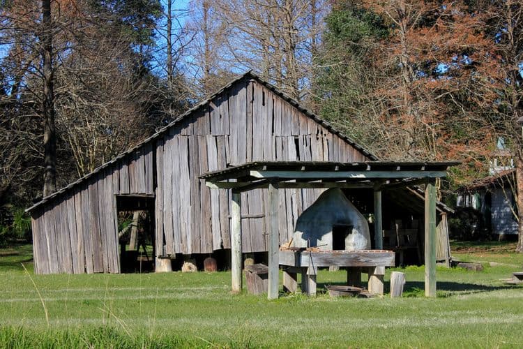 Cajun Heritage