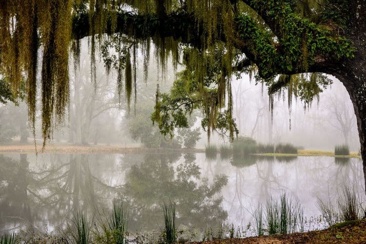 The Myrtles & Greenwood