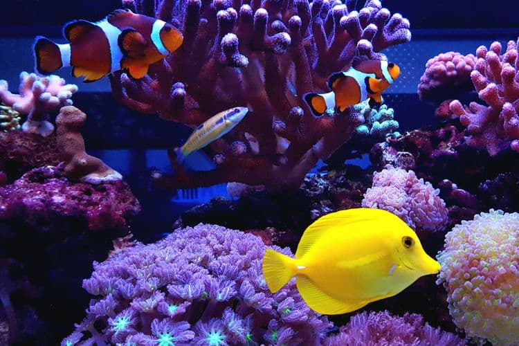 National Mississippi River Museum & Aquarium