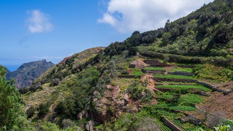 UNESCO Biosphere Reserve and World Heritage Center