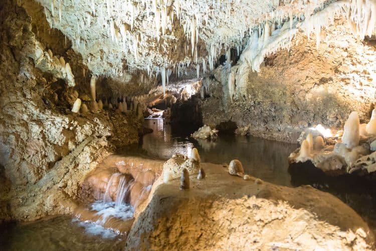Accessible Harrisons Cave