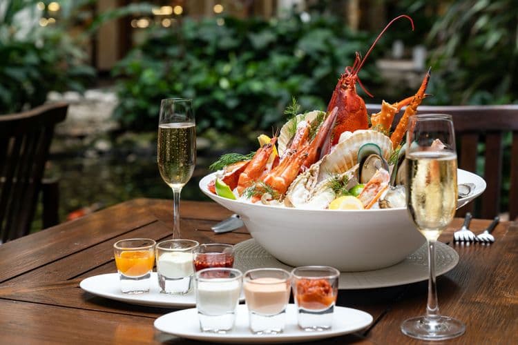 Champagne & Lobster Catamaran Cruise