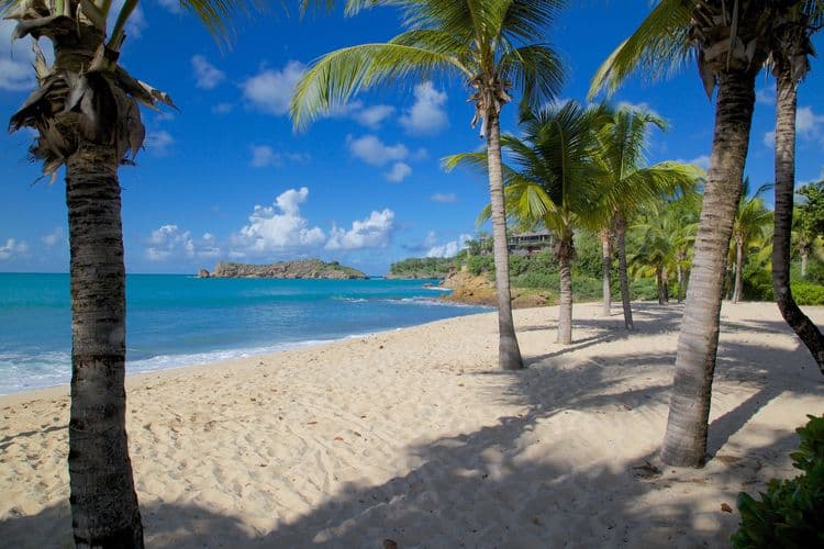 Island Safari and Beach