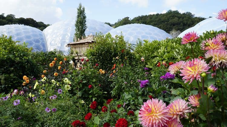 The Eden Project