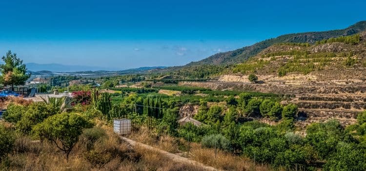 Sierra Espuna Reforestation