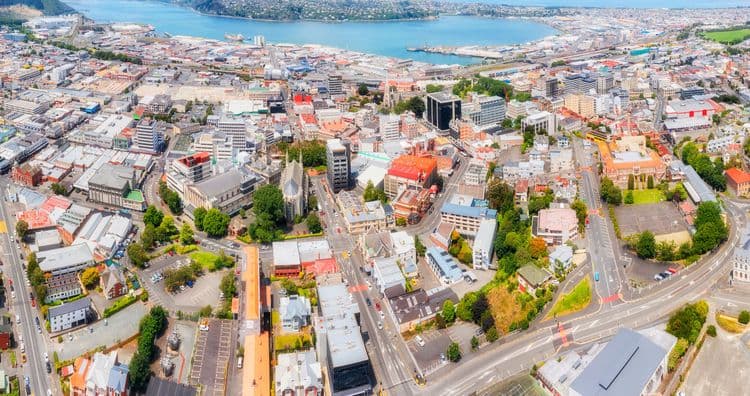 Highlights of Dunedin