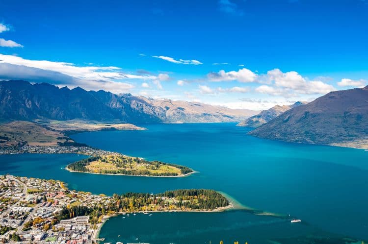 Otago Harbor Wildlife Cruise