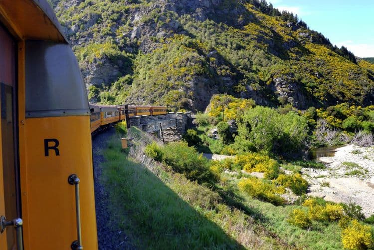 The Taieri Gorge Railway Experience