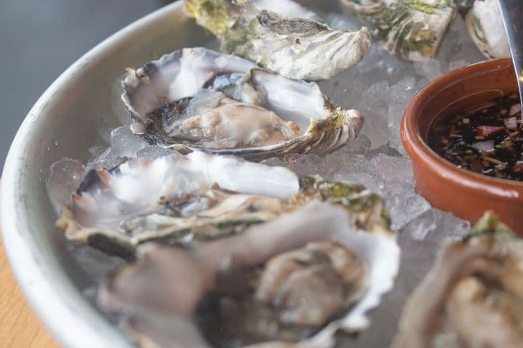 Cruise, Oysters & Eden