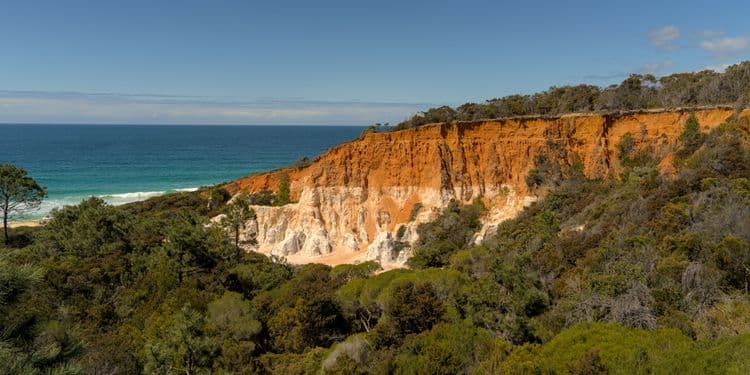 Beowa National Park & Whaling Station