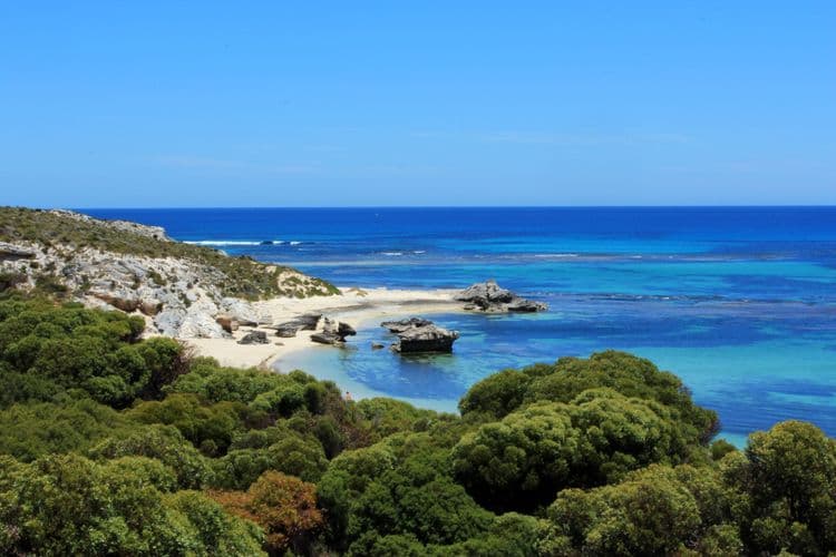 Discover Rottnest Island