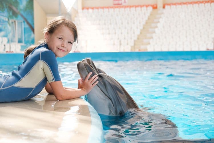 Dolphin Encounter For Kids & Lunch