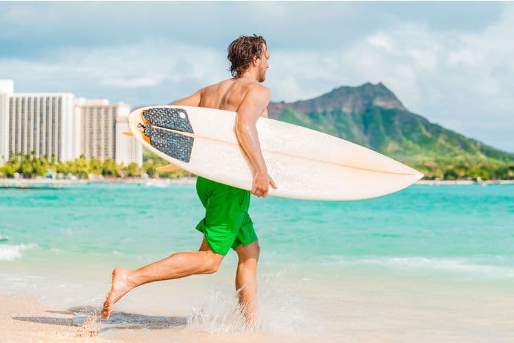 Waikiki Transfer