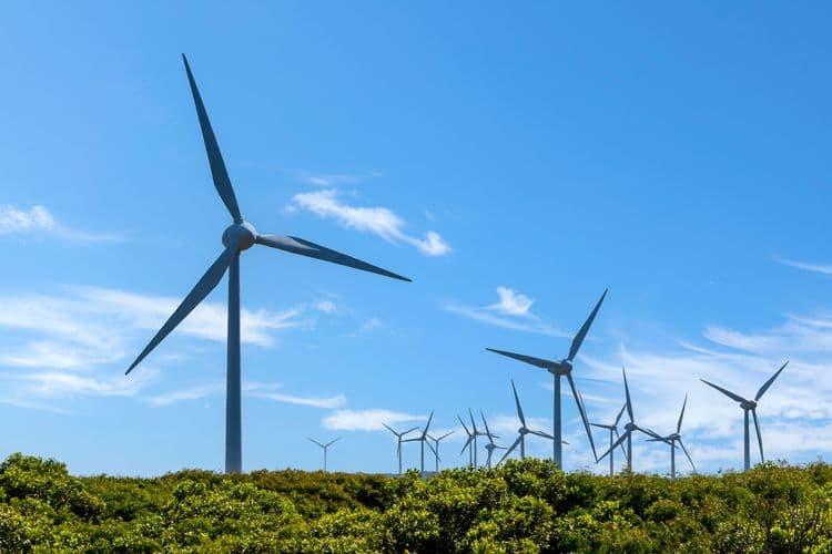 Easy Albany: Torndirrup National Park & Albany Wind Farm