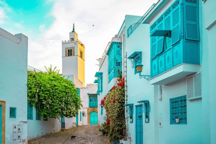 Sidi Bou Said & Carthage