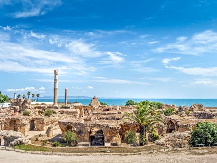 Carthage & Medina of Tunis