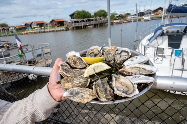 Oyster Harbour & Kalgan River Cruise