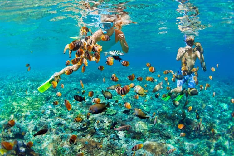Catamaran Sail & Snorkel