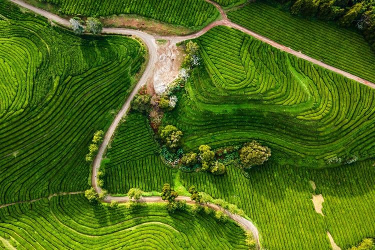 Splendor of the Furnas