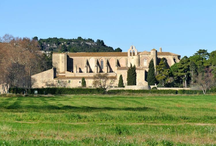 Picturesque Pezenas & Valmagne Abbey
