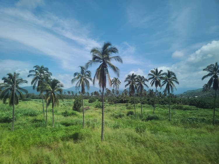 Rustic & Folkloric Countryside