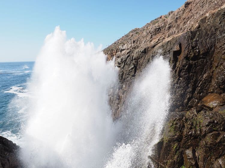 Blowhole and Shopping