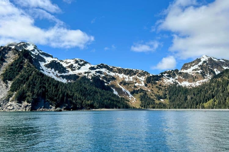Resurrection Bay Cruise