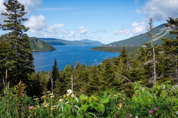 Gros Morne National Park