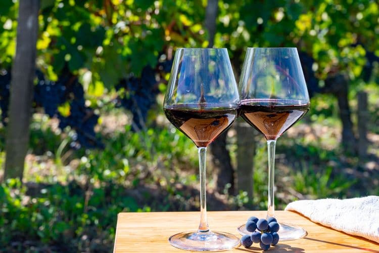 Bordeaux and Its Surrounding Vineyards