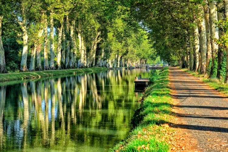 Run Bordeaux Like a Local