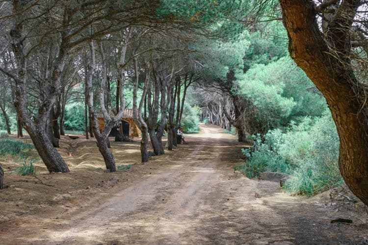 Menorca Back to Nature