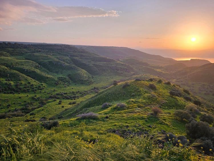 Safed, Kibbutz Visit and the Golan Heights