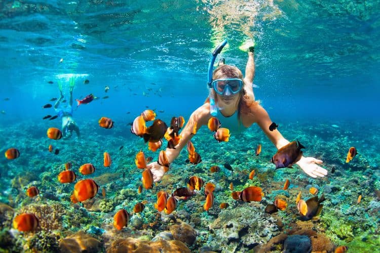 Snuba Adventure at Coral World Ocean Park
