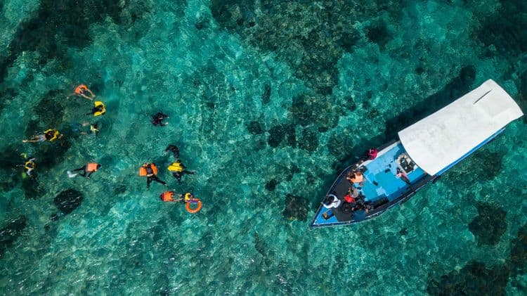 Xmas Cove Powercat - Snorkel with Rays & Reefs