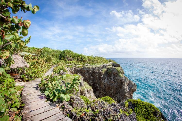 Great Huts Nature Walk