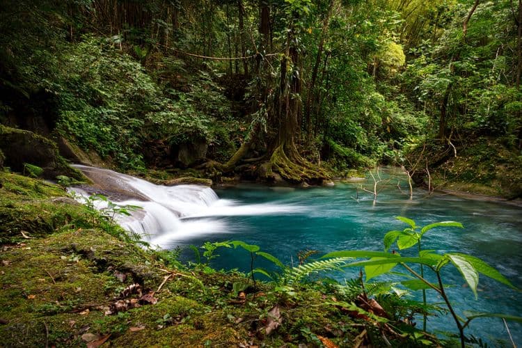 Reach Falls