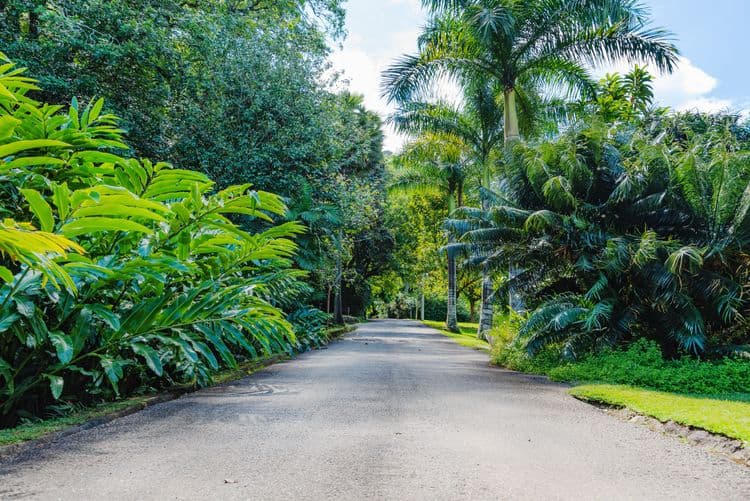 Botanical Gardens & Mission Lodge