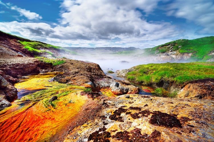 Ancient Ring of Fire; Planting For the Future